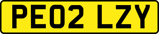 PE02LZY