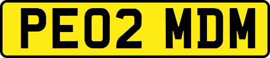 PE02MDM