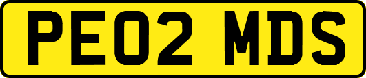 PE02MDS
