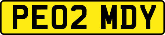 PE02MDY