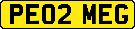 PE02MEG