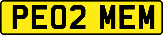 PE02MEM