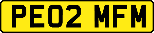 PE02MFM