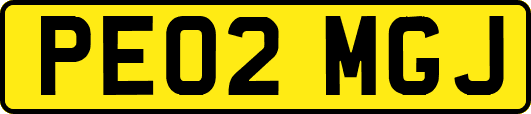 PE02MGJ
