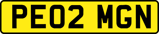 PE02MGN