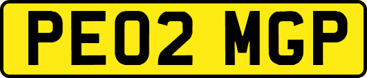 PE02MGP