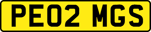 PE02MGS