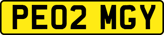 PE02MGY
