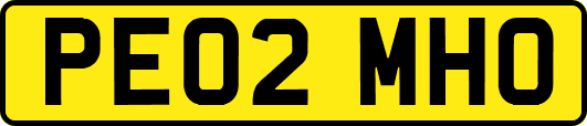 PE02MHO