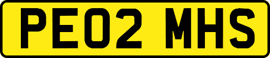 PE02MHS