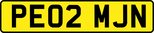 PE02MJN