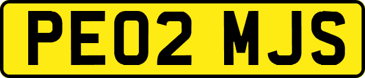 PE02MJS