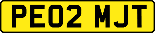 PE02MJT