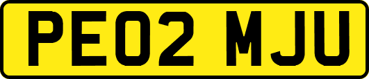 PE02MJU