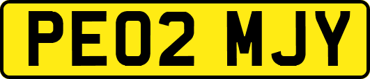 PE02MJY