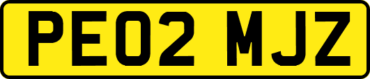 PE02MJZ