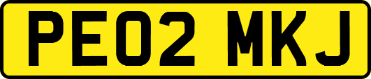 PE02MKJ