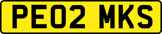 PE02MKS
