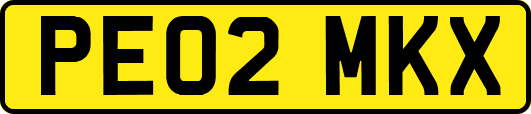 PE02MKX