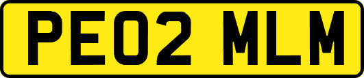PE02MLM