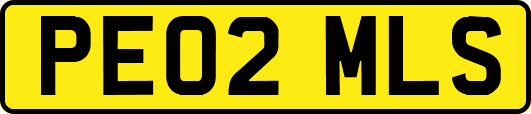 PE02MLS