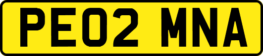 PE02MNA