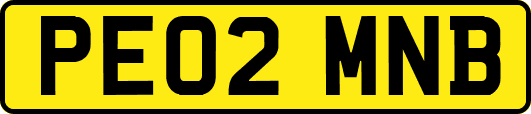 PE02MNB