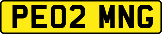 PE02MNG