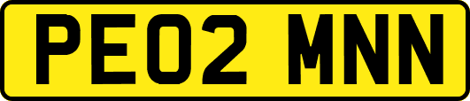 PE02MNN