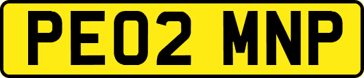 PE02MNP