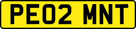 PE02MNT