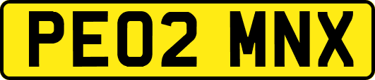 PE02MNX