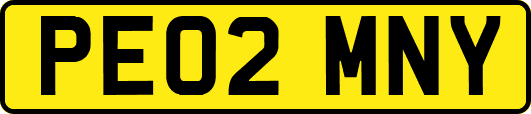 PE02MNY