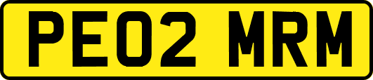 PE02MRM
