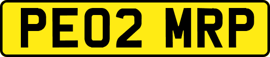PE02MRP