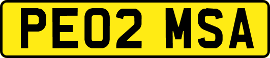 PE02MSA