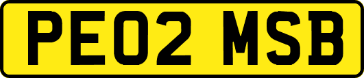PE02MSB