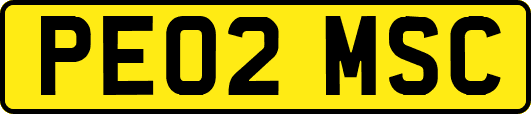 PE02MSC