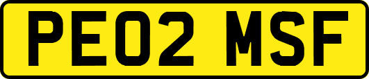PE02MSF