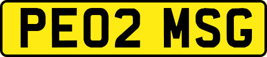 PE02MSG