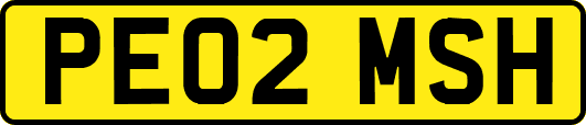 PE02MSH