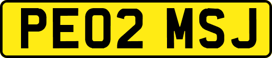 PE02MSJ