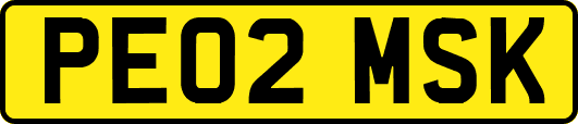 PE02MSK