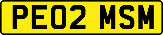 PE02MSM