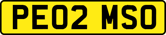 PE02MSO