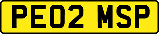 PE02MSP