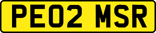 PE02MSR