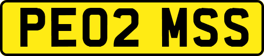 PE02MSS