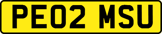 PE02MSU