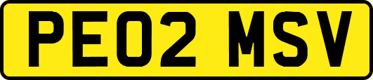 PE02MSV